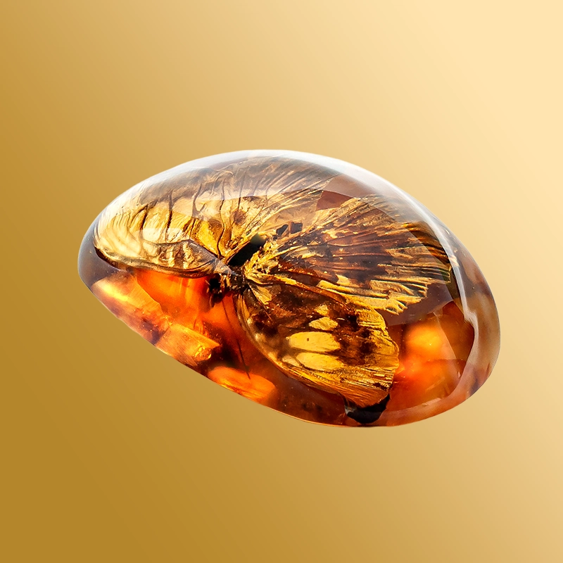 Инклюзы полунатуральные с янтарем